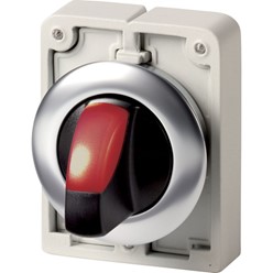 Signaalkeuzeschakelaar, 30mm, RVS, vlak, rood, 2 standen, terugverend